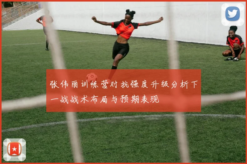 张伟丽训练营对抗强度升级分析下一战战术布局与预期表现
